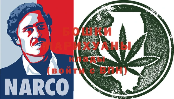 эйфоретик Няндома