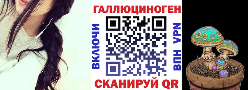 хочу наркоту Западная Двина Псилоцибиновые грибы Psilocybine cubensis